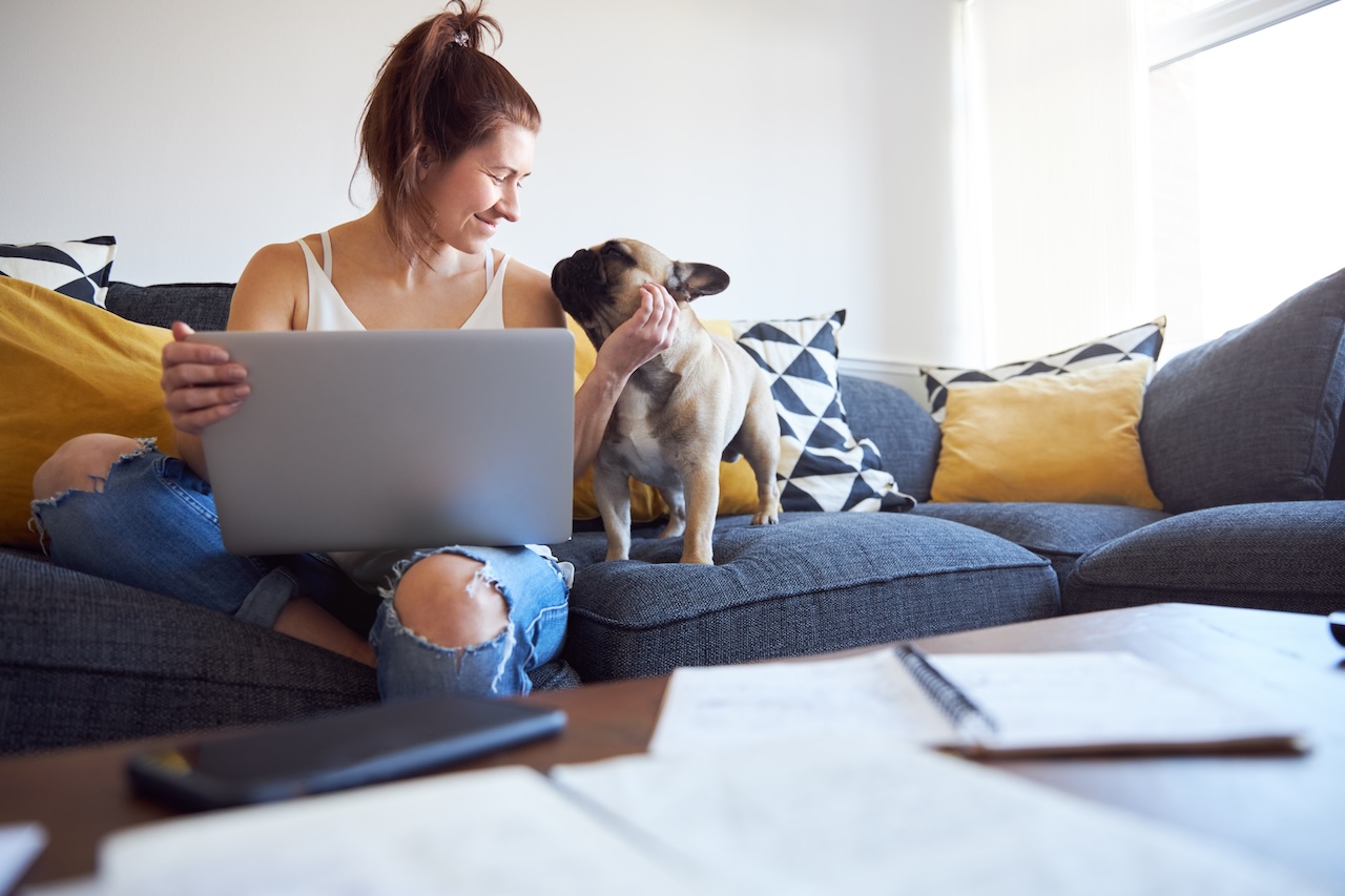 Female working on laptop with pet dog on sofa laughing.