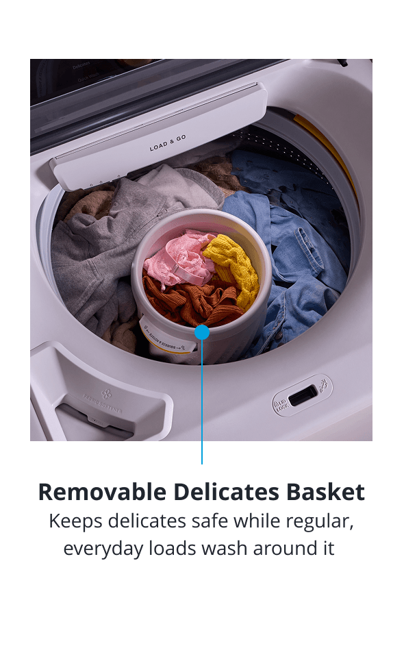 Removable Delicates Basket